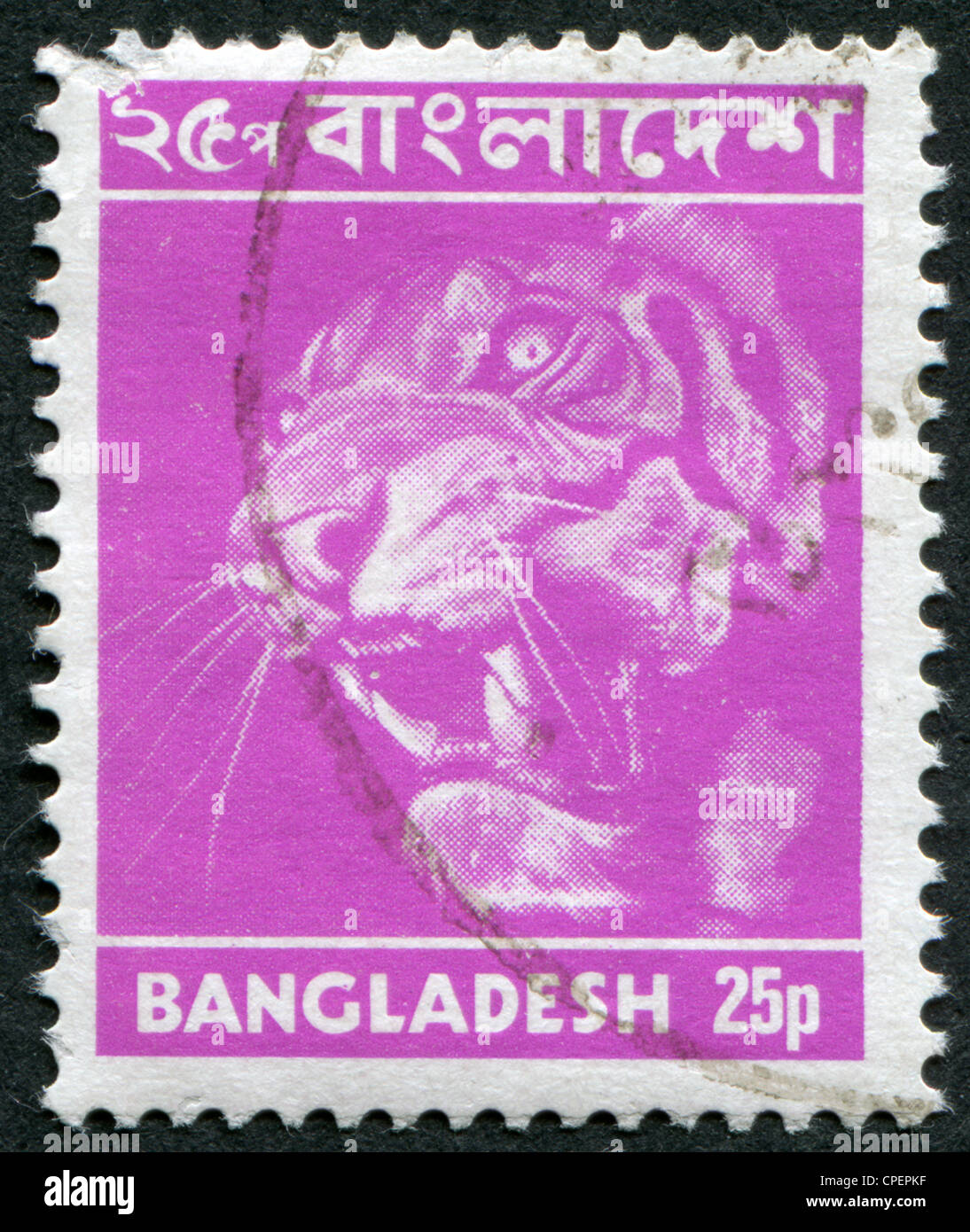 BANGLADESH - VERS 1973 : timbres-poste imprimés en Bangladesh, montre un tigre (Panthera tigris), vers 1973 Banque D'Images