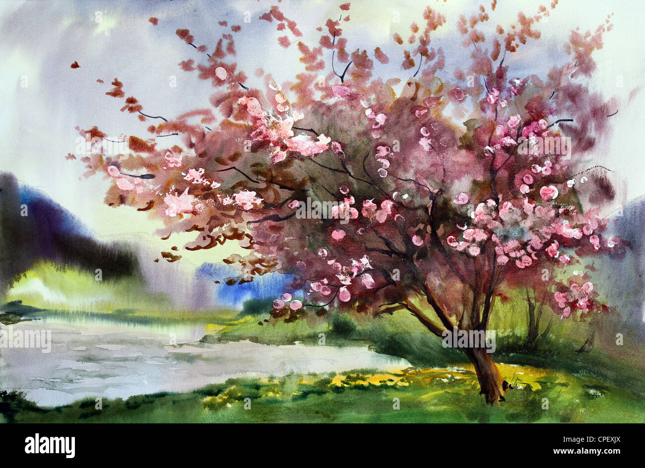 Peinture Aquarelle paysage avec fleurs de printemps arbre avec des fleurs  Photo Stock - Alamy