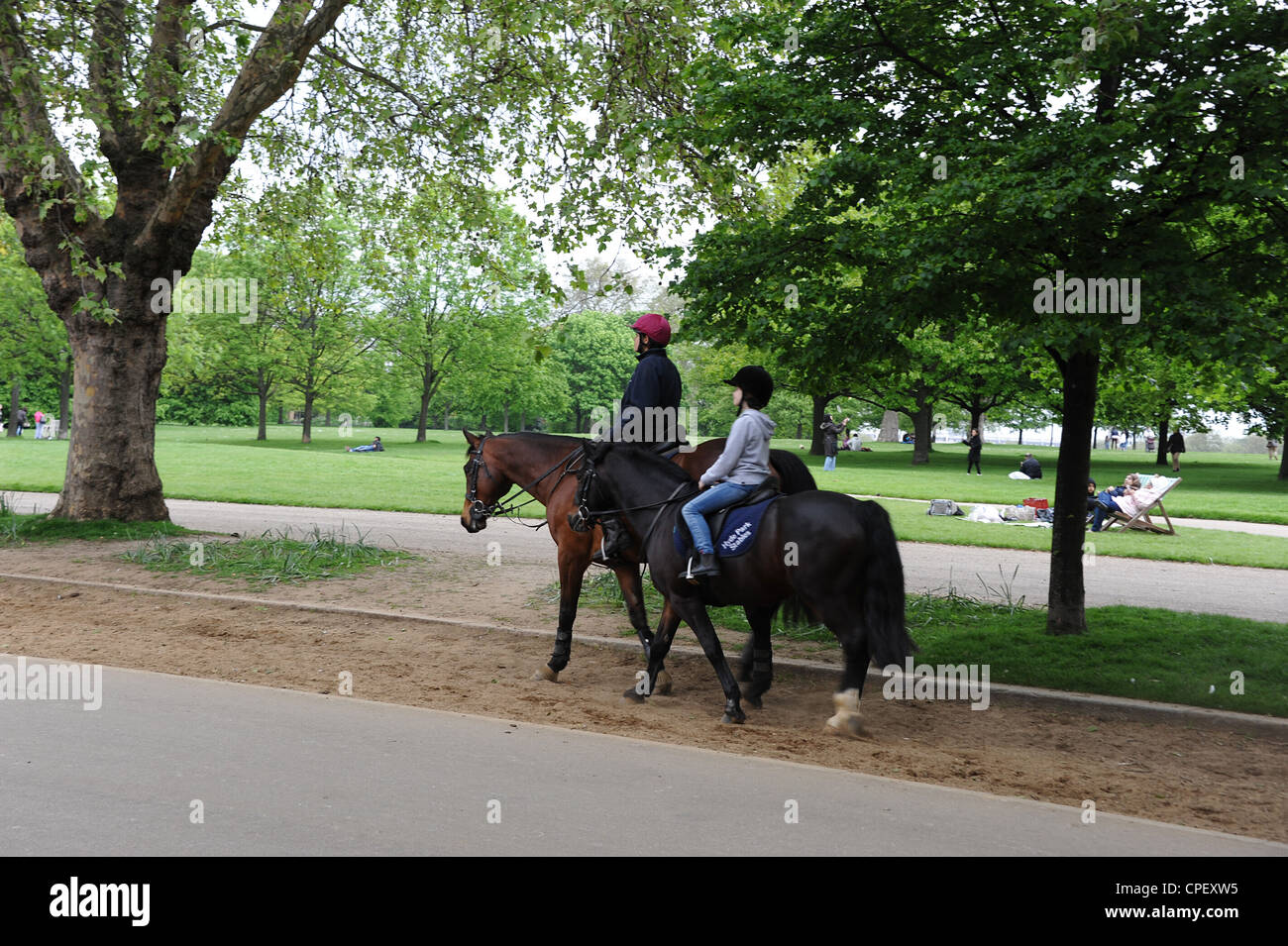 L'équitation de Rotten Row, dans Hyde Park, Londres. Banque D'Images