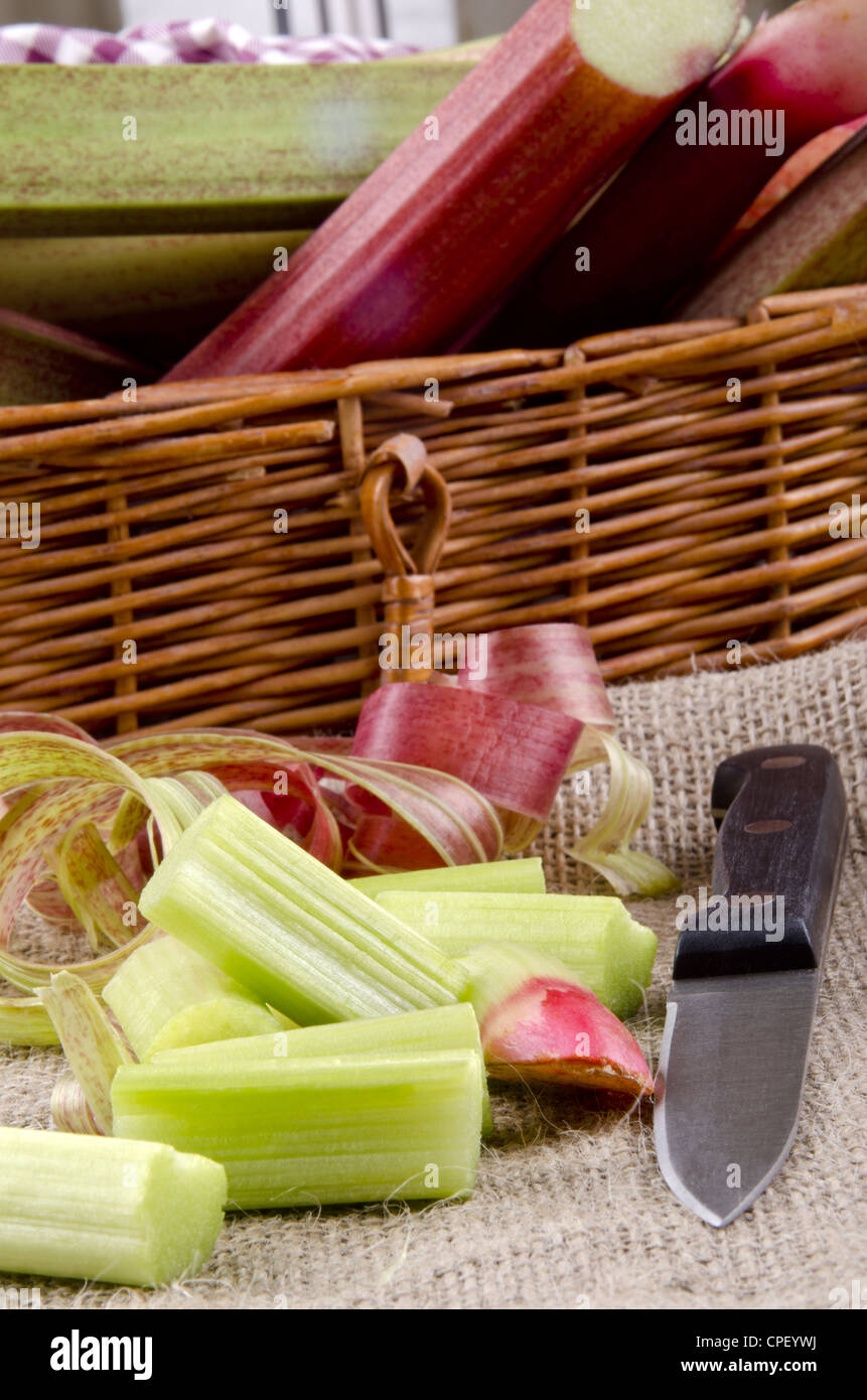 La rhubarbe bio fraîchement coupées du jardin Banque D'Images