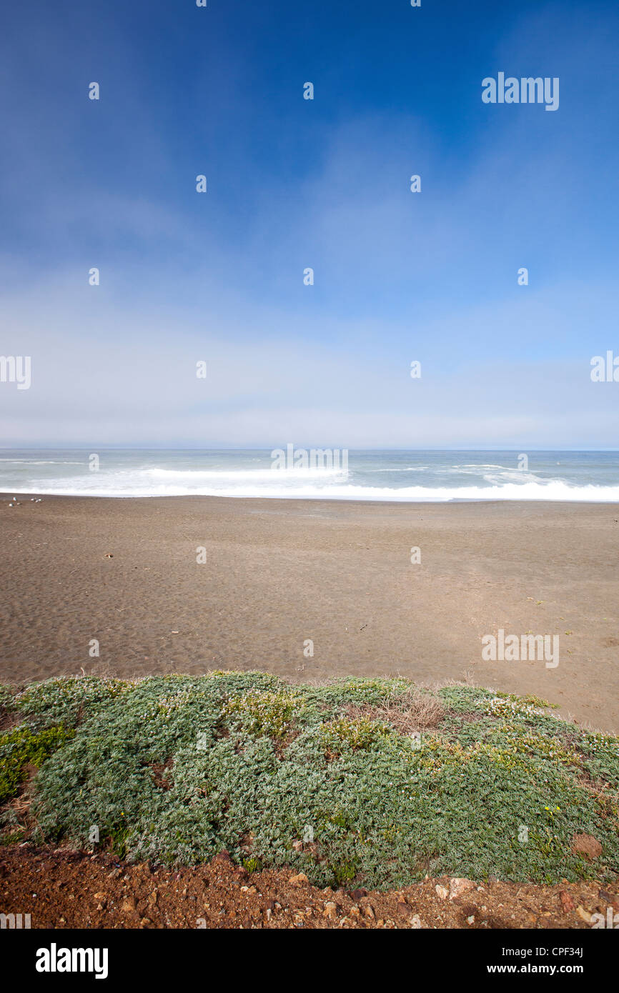 Les plages de Californie Banque D'Images