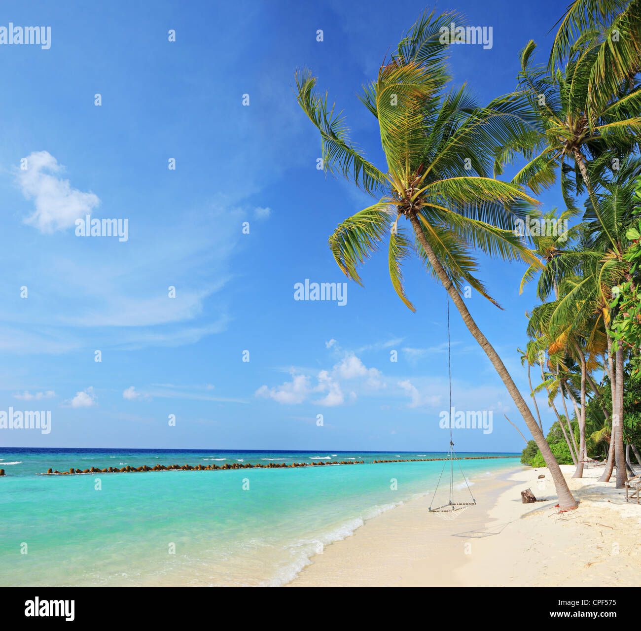 Scène de plage avec un swing sur un palmier sur une journée ensoleillée sur l'île de Kuredu Maldives, atoll de Lhaviyani Banque D'Images
