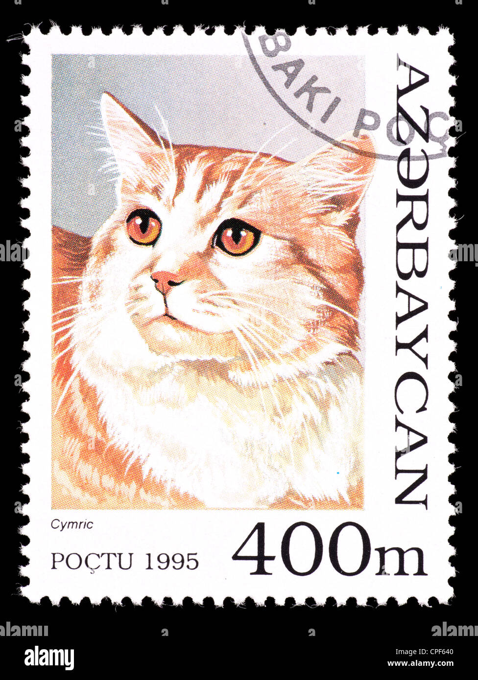 Timbre-poste de l'Azerbaïdjan représentant un chat cymric. Banque D'Images
