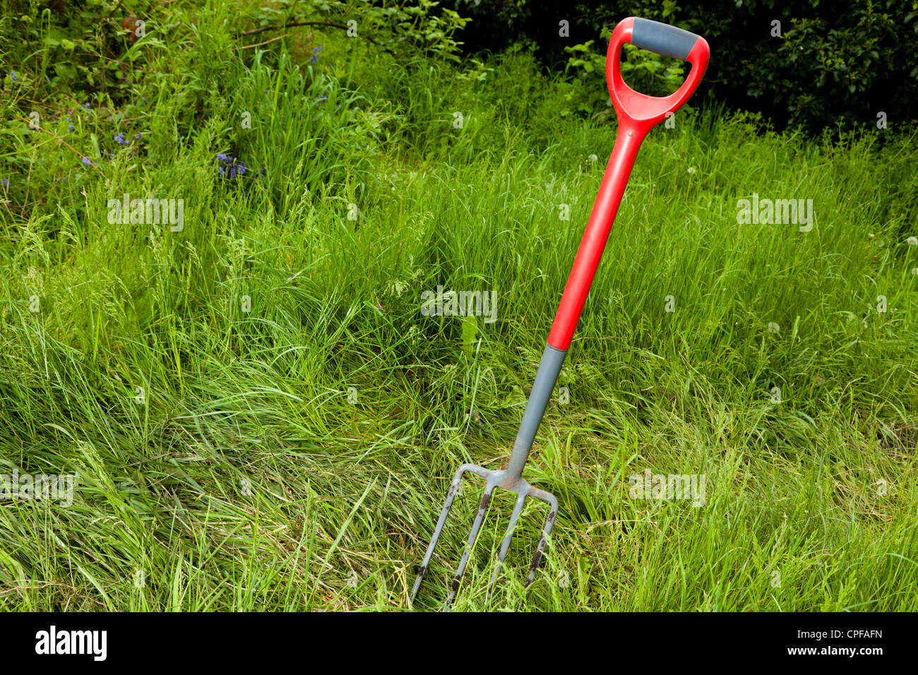 Ou une fourche fourche jardin debout dans les hautes herbes d'un jardin envahi par la pelouse Banque D'Images