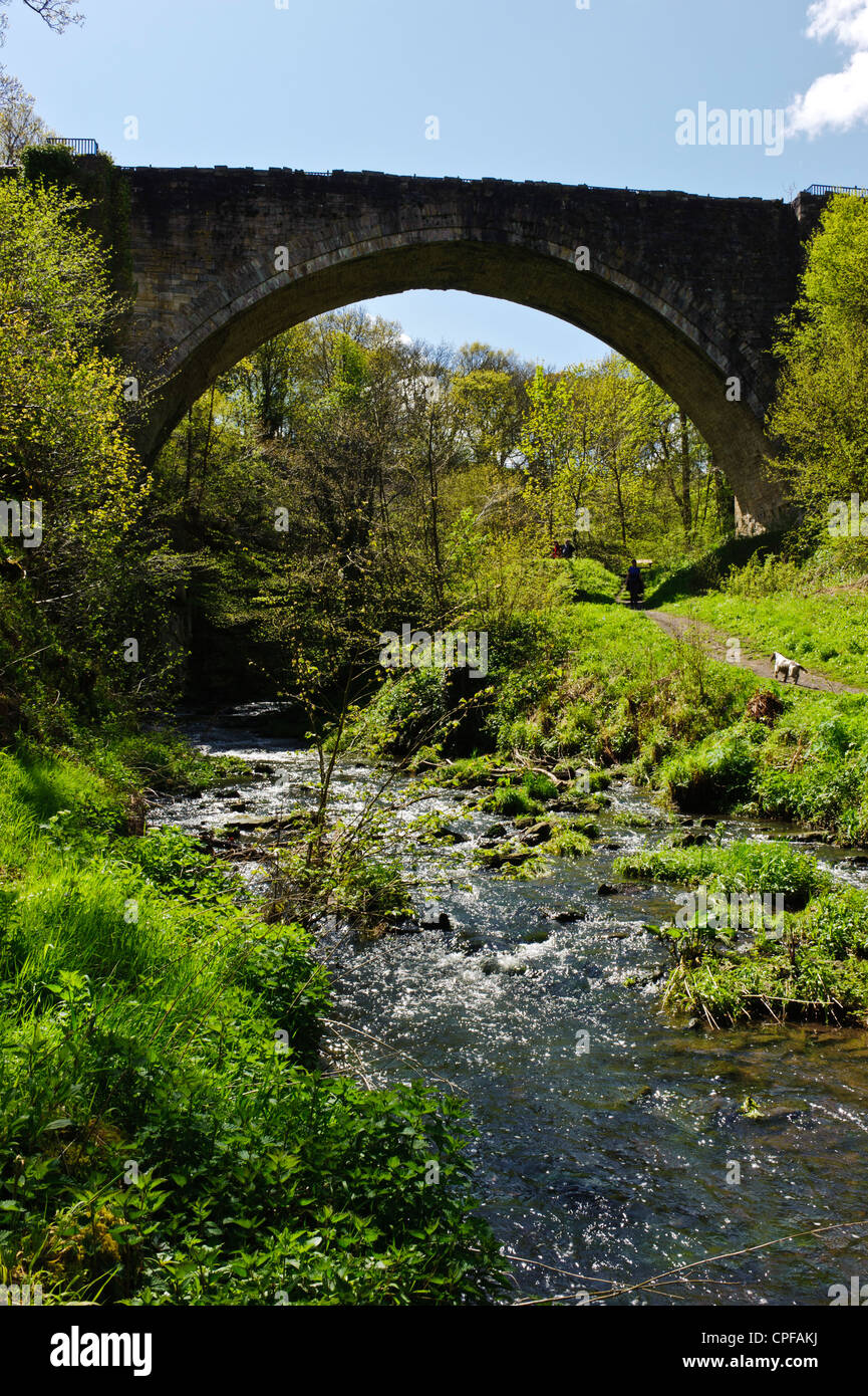 Causey Arch pont de chemin de fer Banque D'Images