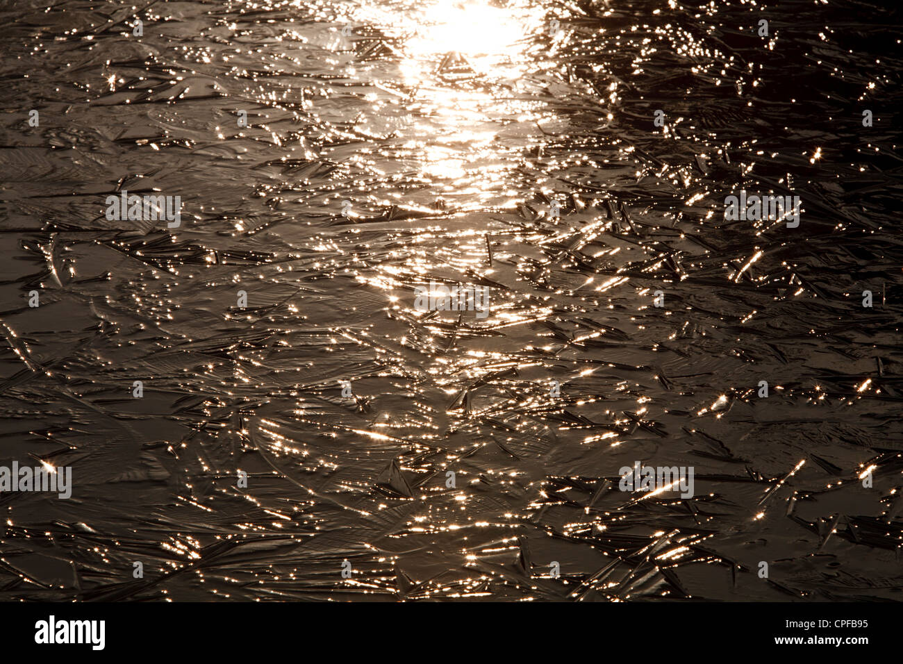 Étang de la glace dans la lumière du soleil. Powys, Pays de Galles. Janvier. Banque D'Images