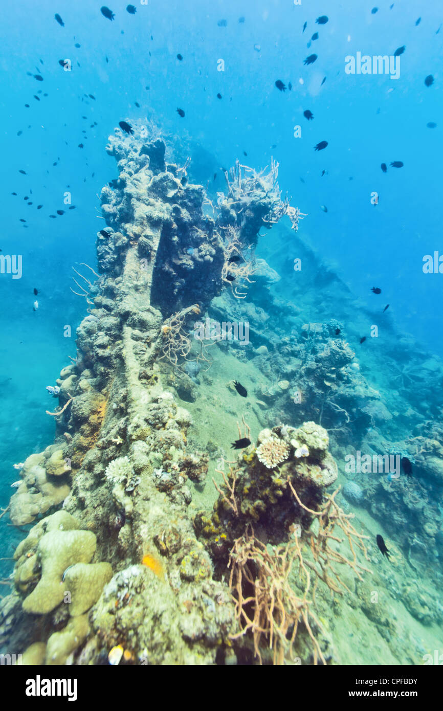 Sous l'épave. Canonnière engloutie à Lusong Island Banque D'Images