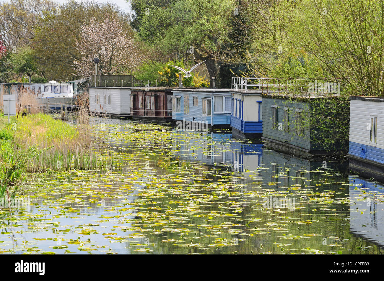 Bateaux-maison sur Chichester Ship Canal Banque D'Images