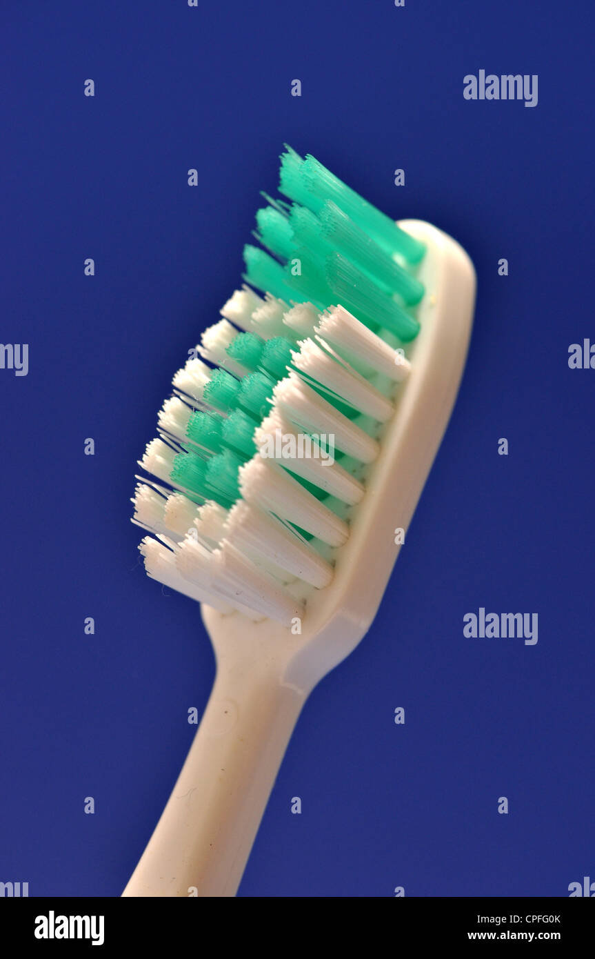 Une brosse à dents blanc sur fond bleu Banque D'Images