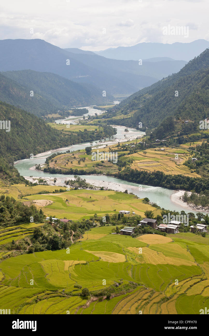 Les champs de riz et la Mo Chhu river dans la vallée de Punakha, Bhoutan. Banque D'Images