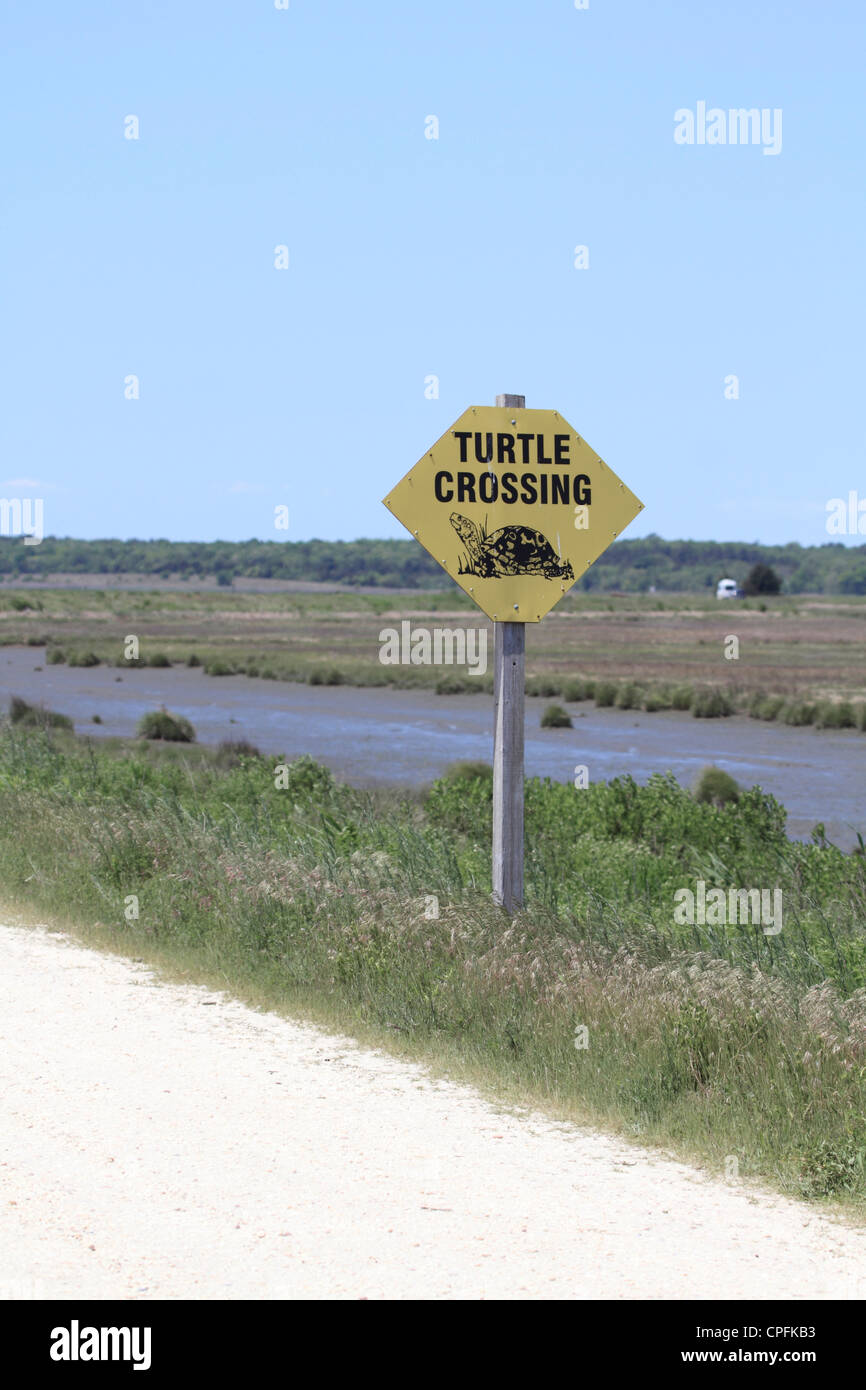 Turtle crossing sign sur la faune. Edwin B. Forsythe National Wildlife Refuge, Oceanville, New Jersey, USA Banque D'Images