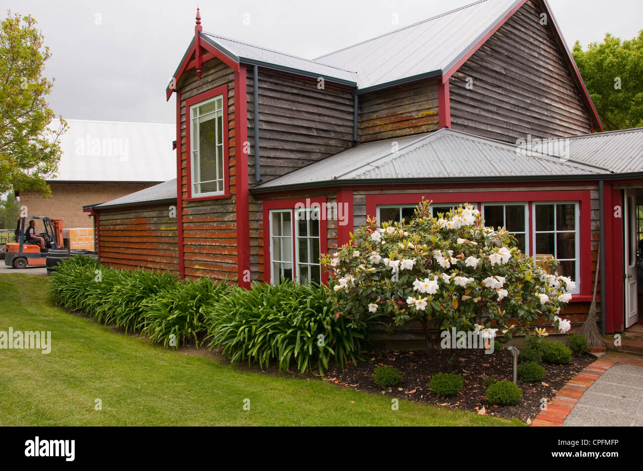 L'île du Sud Nouvelle-zélande Nelson, du vin et de l'alimentation du saumon et la dégustation du vin au Neudorf Vineyards avec John Kavanagh, vigneron Banque D'Images