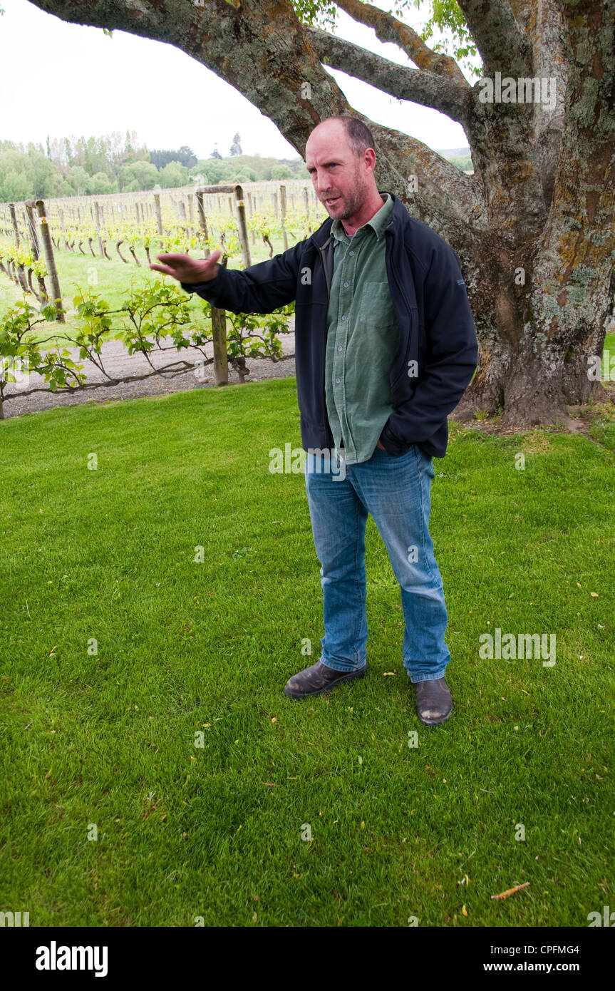 L'île du Sud Nouvelle-zélande Nelson, du vin et de l'alimentation du saumon et la dégustation du vin au Neudorf Vineyards avec John Kavanagh, vigneron Banque D'Images