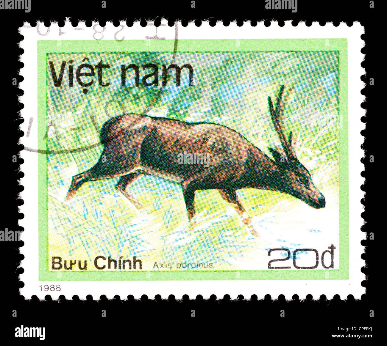 Timbre-poste du Vietnam représentant des cerfs du porc (Hyelaphus porcinus) Banque D'Images