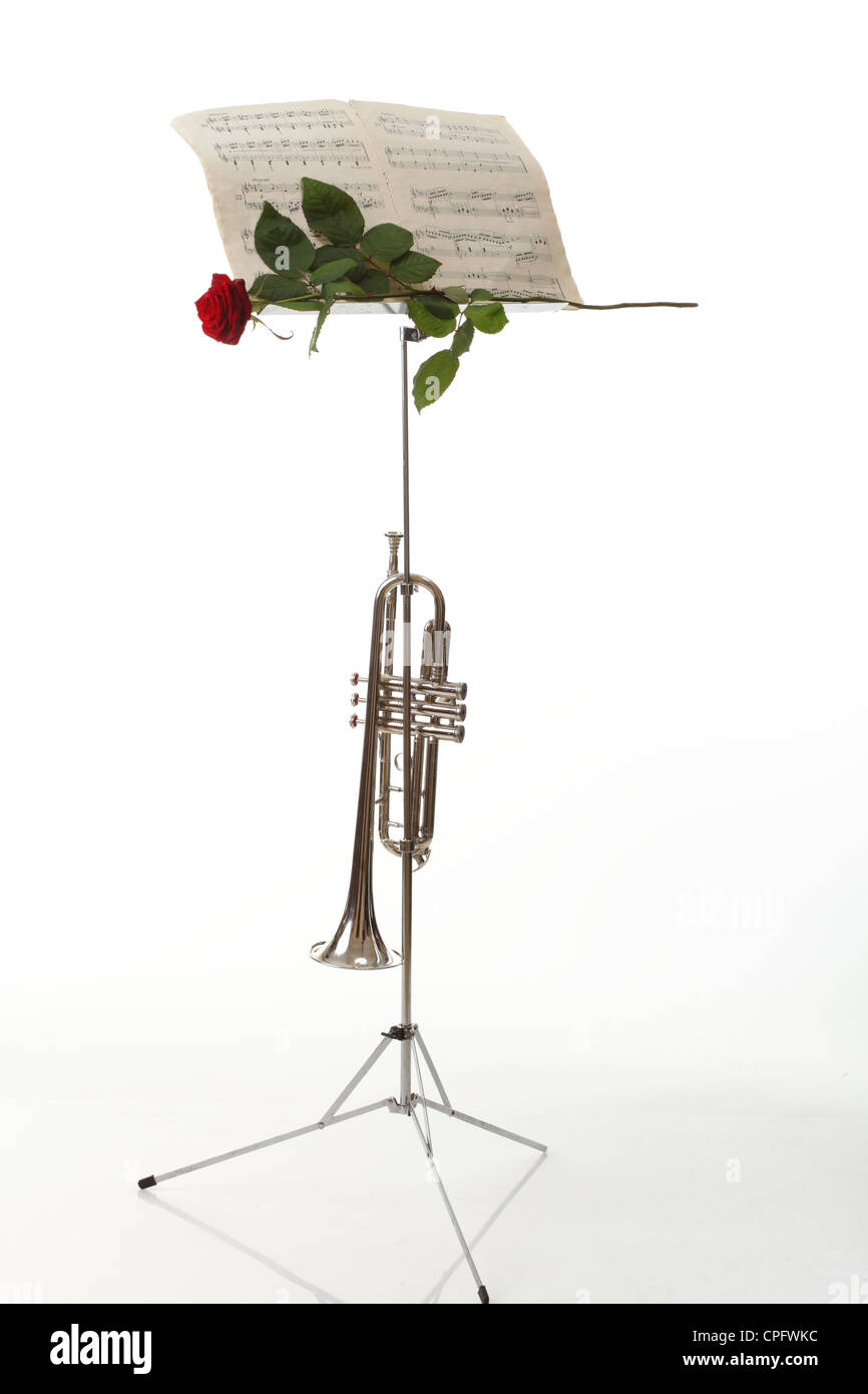 Rose rouge et vieux note notes trompette aime la musique fond blanc Banque D'Images