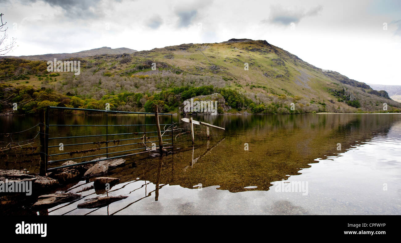 Elephant Rock Sur Les Bords De Llyn Gwynant Dans Le Parc National De Snowdonia Le Nord Du Pays De Galles Photo Stock Alamy Elephant Rock Sur Les Bords De Llyn Gwynant Dans Le Parc National De Snowdonia Le Nord Du Pays De Galles Photo Stock Alamy