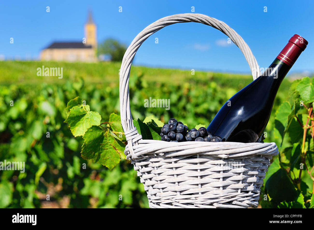 Bouteille de vin rouge dans un panier de raisons près d'une église typique Banque D'Images