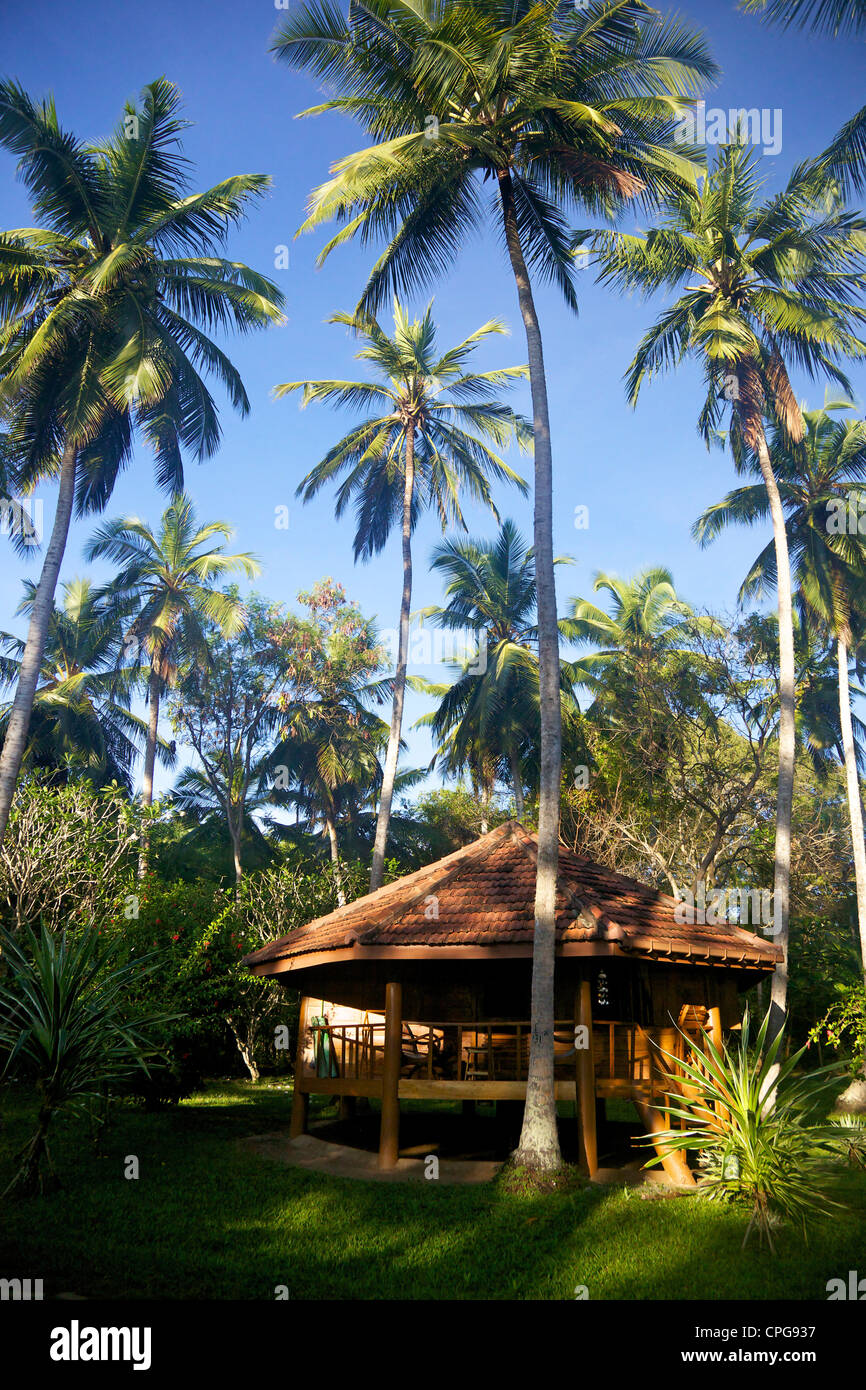 Palm Paradise Cabanas, Tangalle, côte sud, Sri Lanka, Asie Banque D'Images