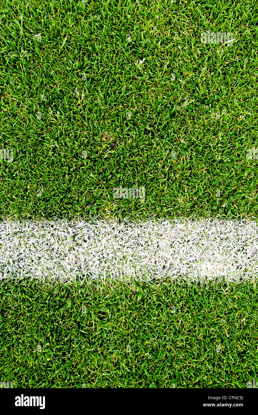 Close-up fermé d'une surface de terrain de soccer Banque D'Images