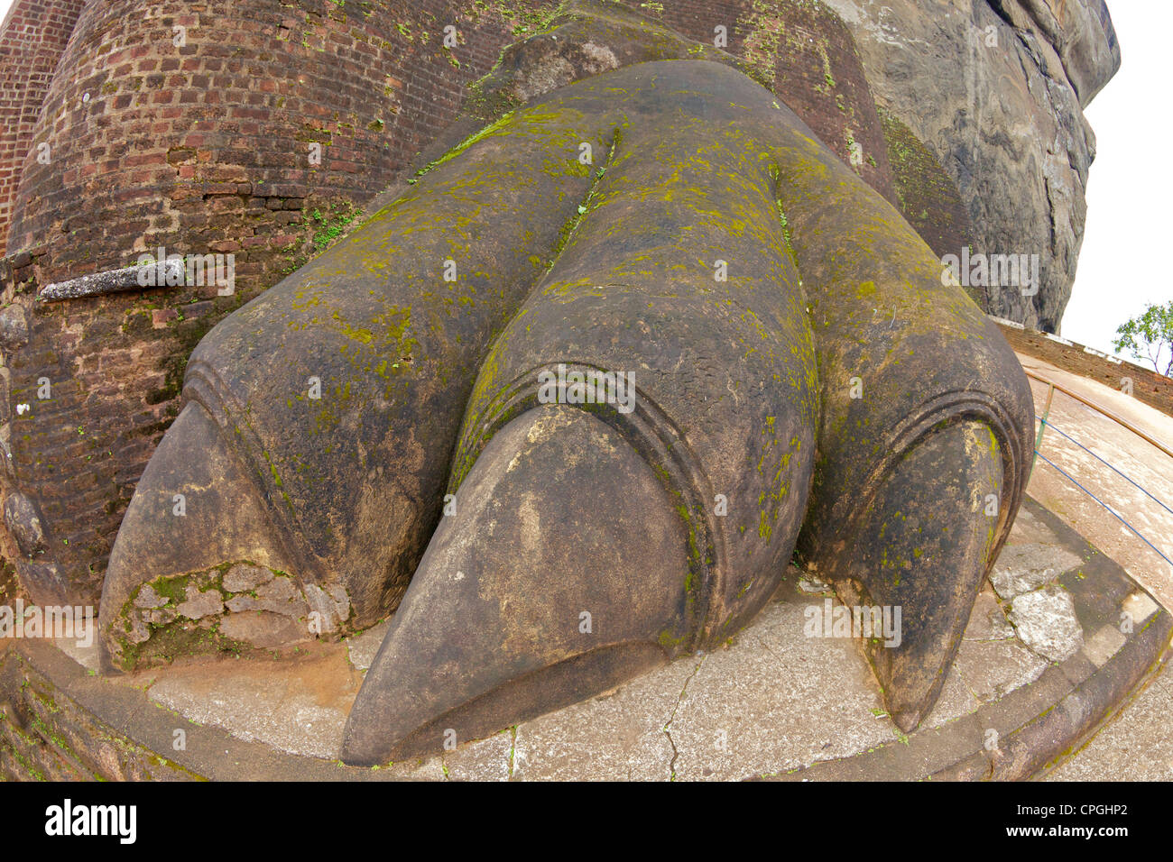 Patte du Lion, Lion Rock Fortress, 5ème ANNONCE de siècle, UNESCO World Heritage Site, Sri Lanka, Asie Banque D'Images