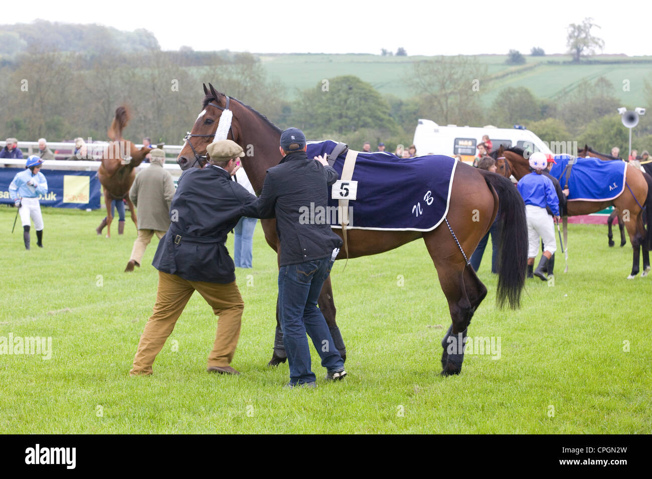 Le marié se prépare à prendre son tapis avant le jockey monte avec un cheval bucking en arrière-plan Banque D'Images