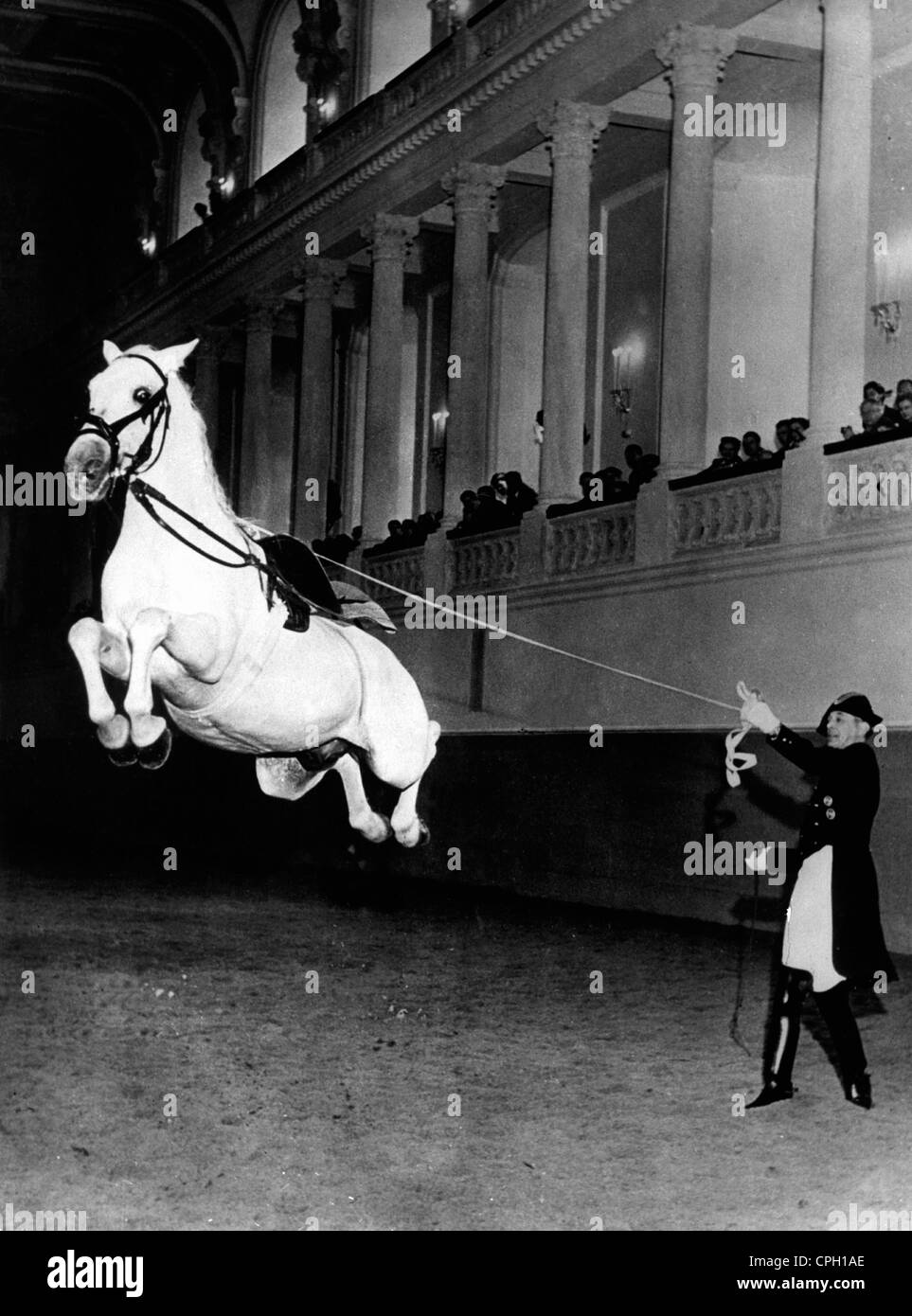 Géographie / Voyage, Autriche, Vienne, bâtiments, Ecole d'équitation espagnole, Jumping Lippizaner, 1955, droits supplémentaires-Clearences-non disponible Banque D'Images