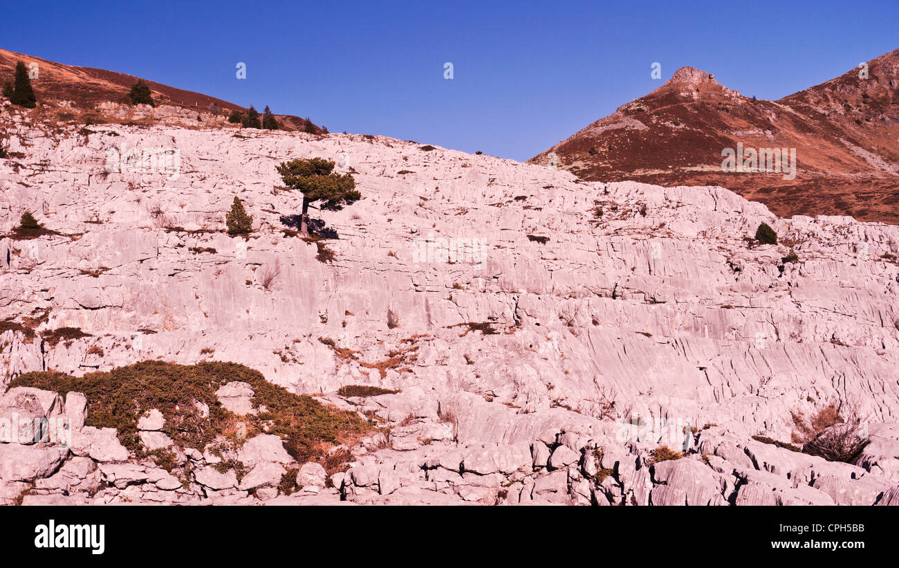 Alpes, Montagnes, hautes montagnes, mountainscape, paysages de montagne, paysage de montagne, Alpes Bernoises, l'Oberland bernois, ledge, lim Banque D'Images