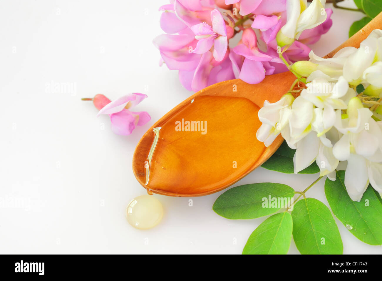 miel d’Acacia Banque D'Images