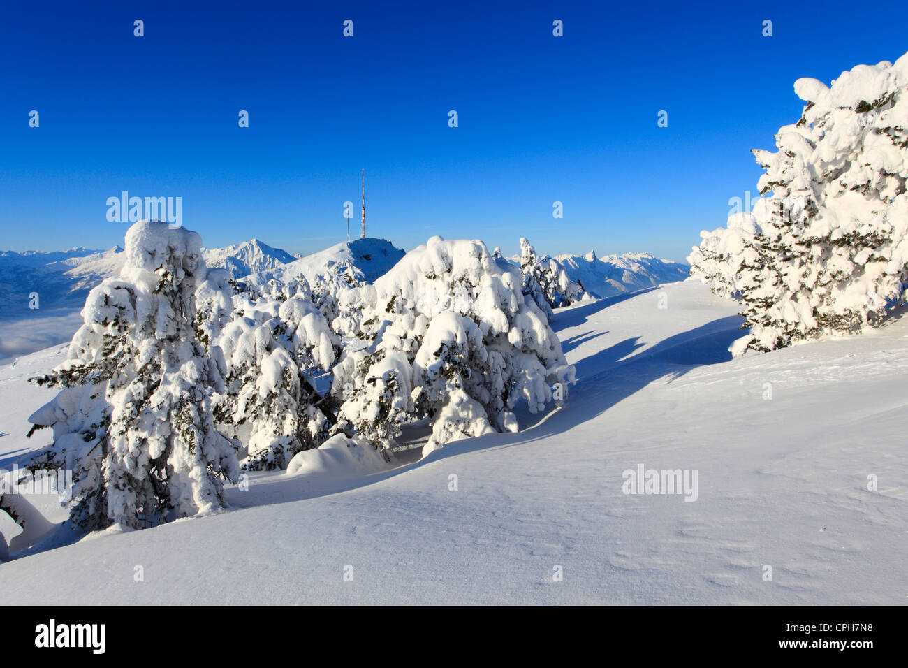 Panorama alpin, Alpes, antenne, antenne tower, vue, arbre, montagne, montagnes, montagne, paysage de montagne, Berne, Alpes Bernoises, Banque D'Images