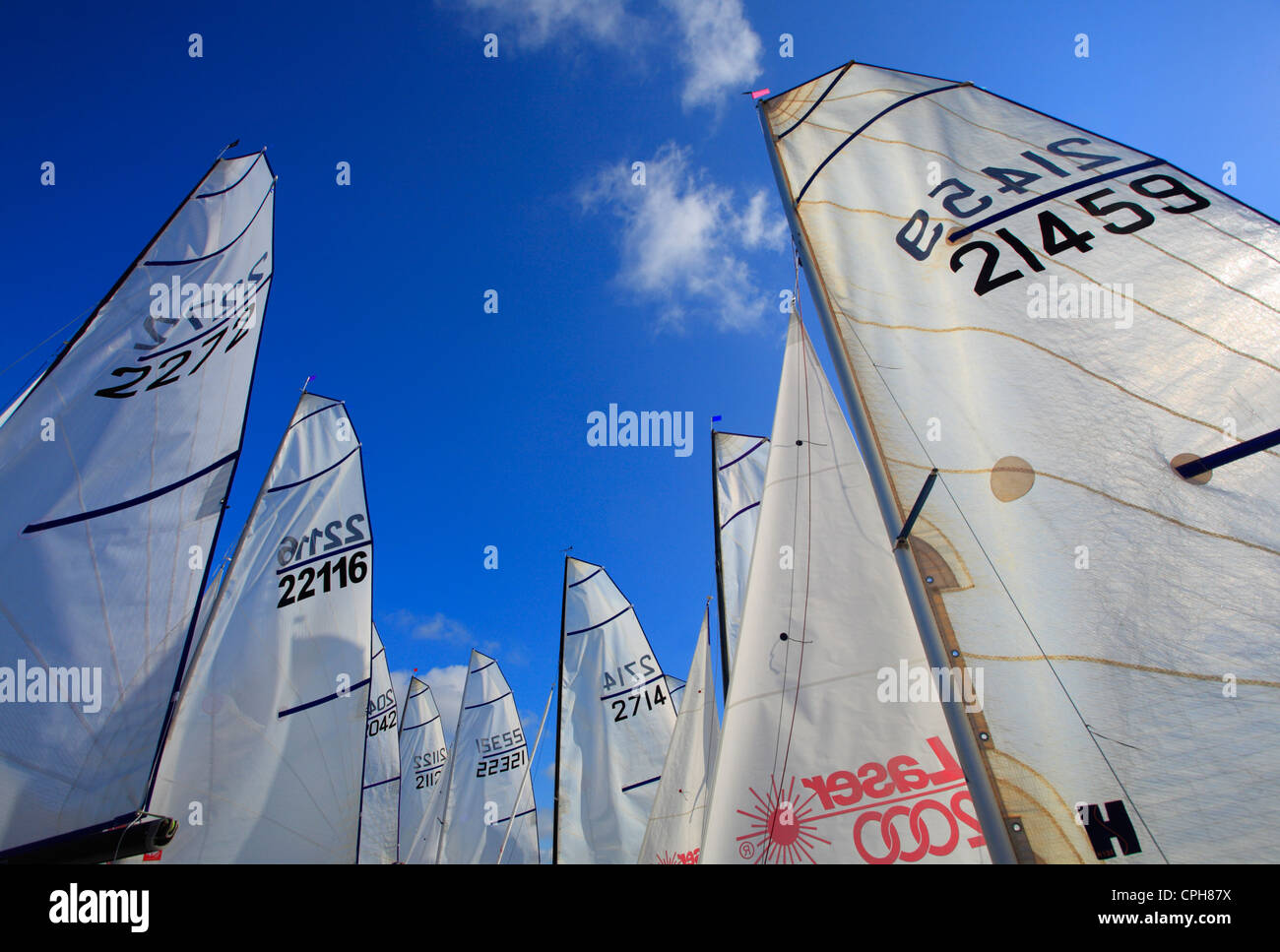 White sails de Laser 2000 bateaux à voile avant une course. Banque D'Images