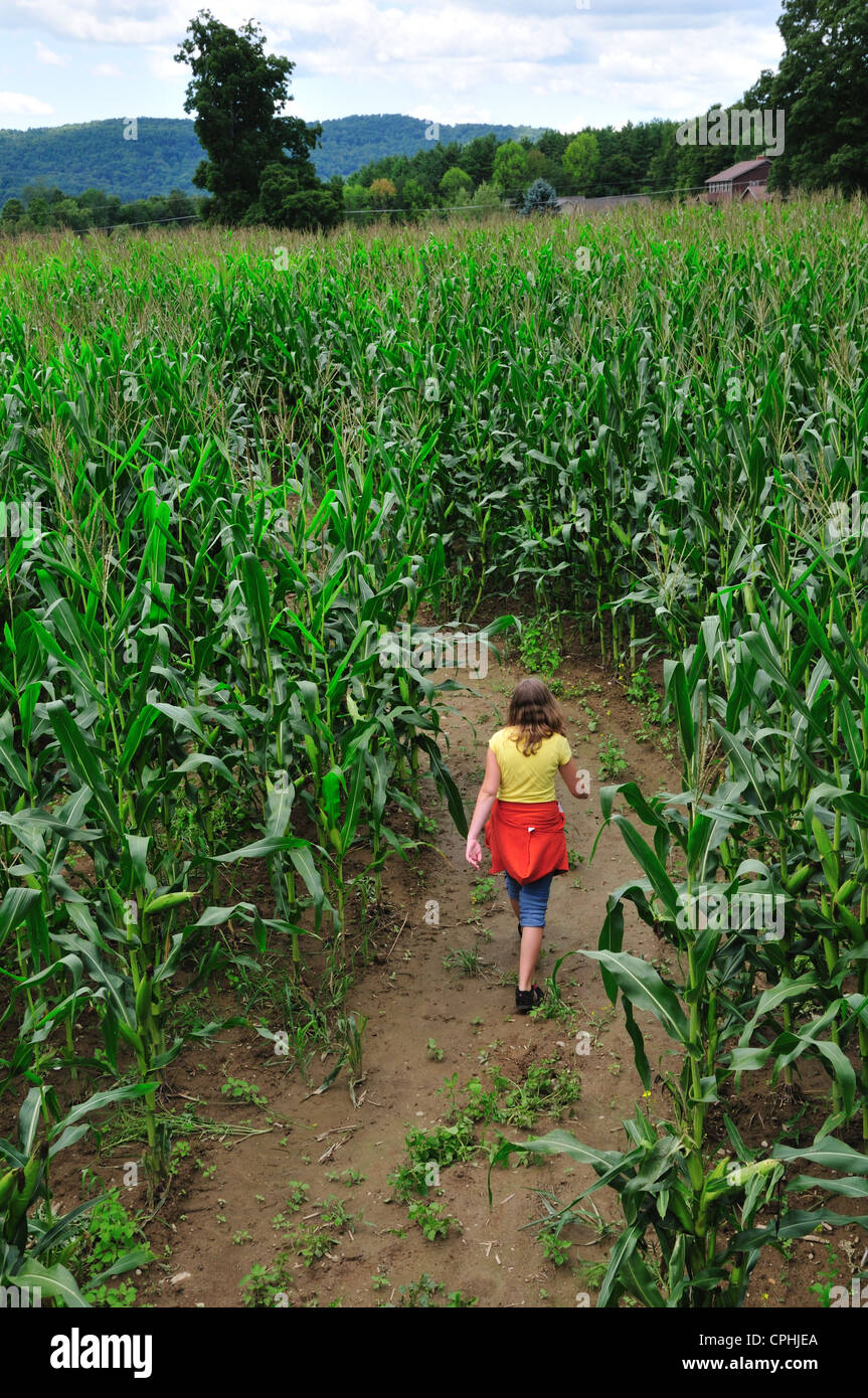 Adolescente marchant à travers un labyrinthe de maïs à Hathaway farm, Rutland, Vermont Banque D'Images