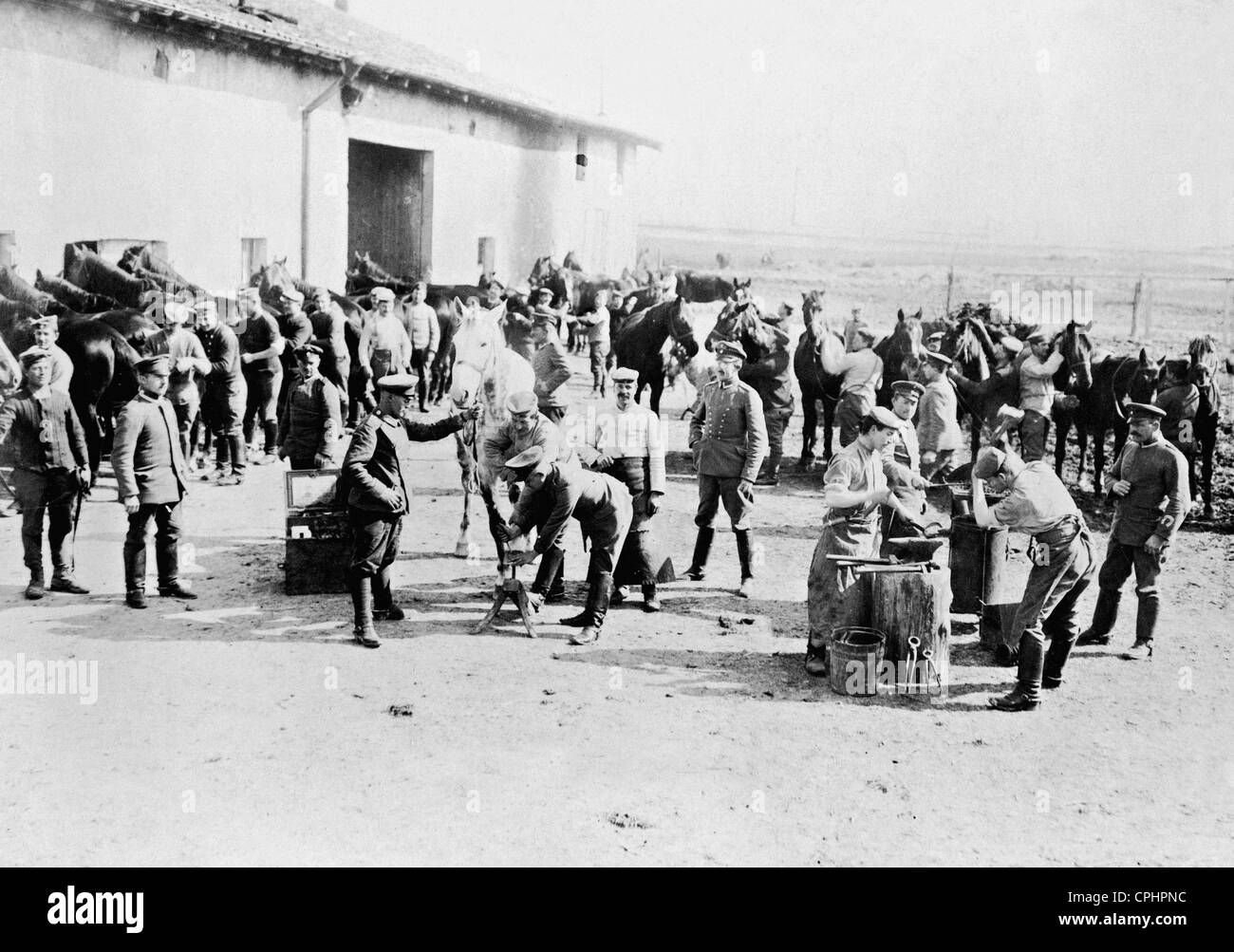 Scène d'un cheval, de l'hôpital militaire 1916 Banque D'Images