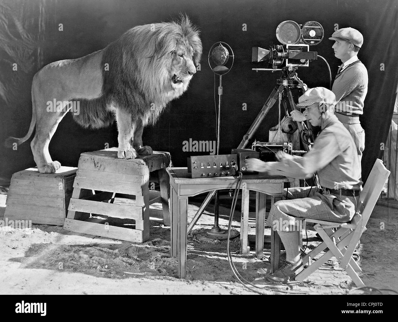 Lion de la Metro-Goldwyn-Mayer, 1929 Banque D'Images