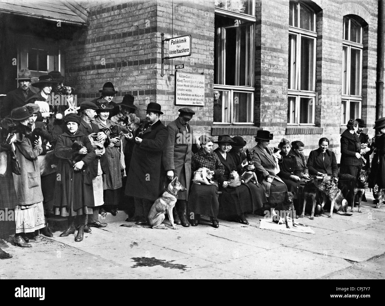 File d'en face d'un hôpital vétérinaire, 1920 Banque D'Images