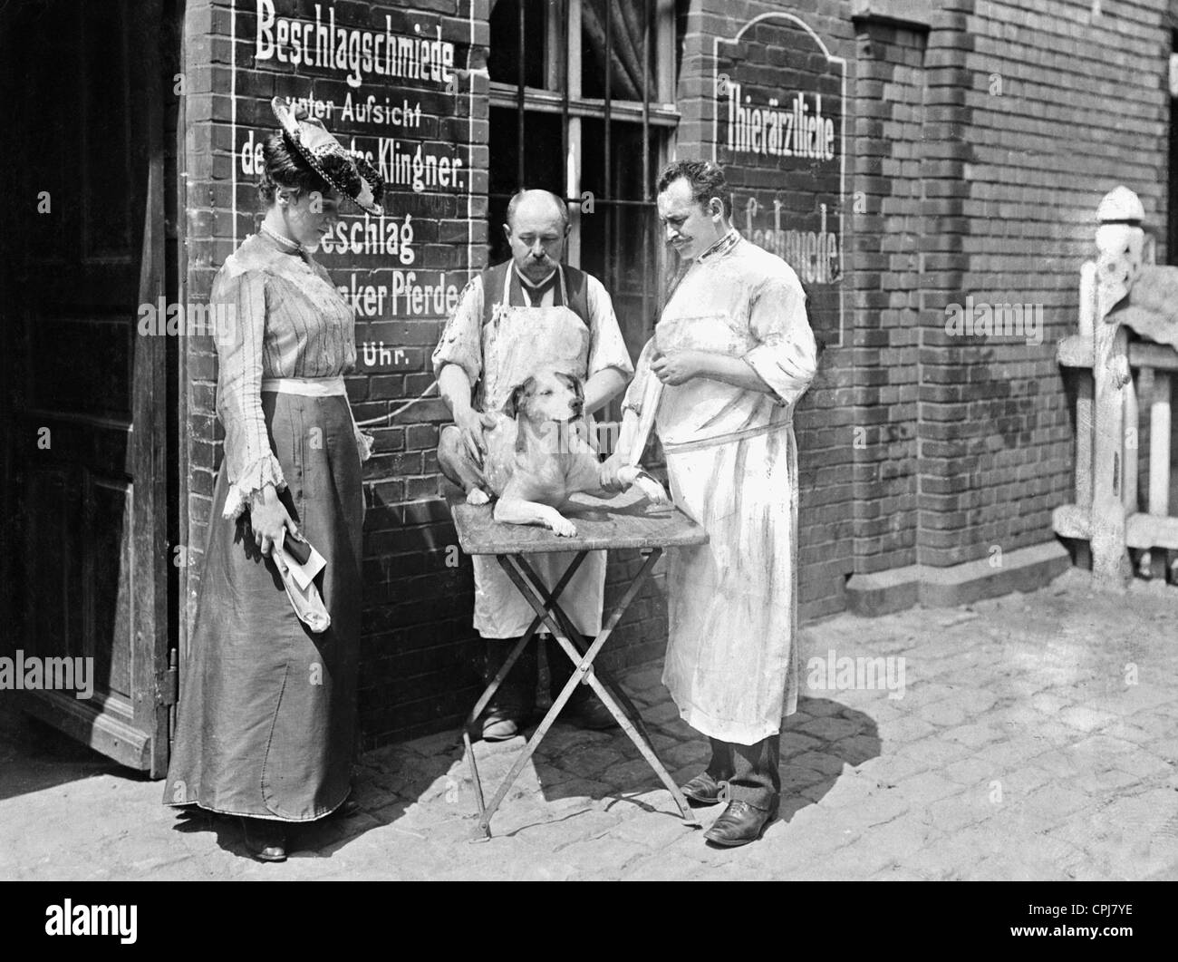 Chien à l'hôpital vétérinaire, 1903 Banque D'Images