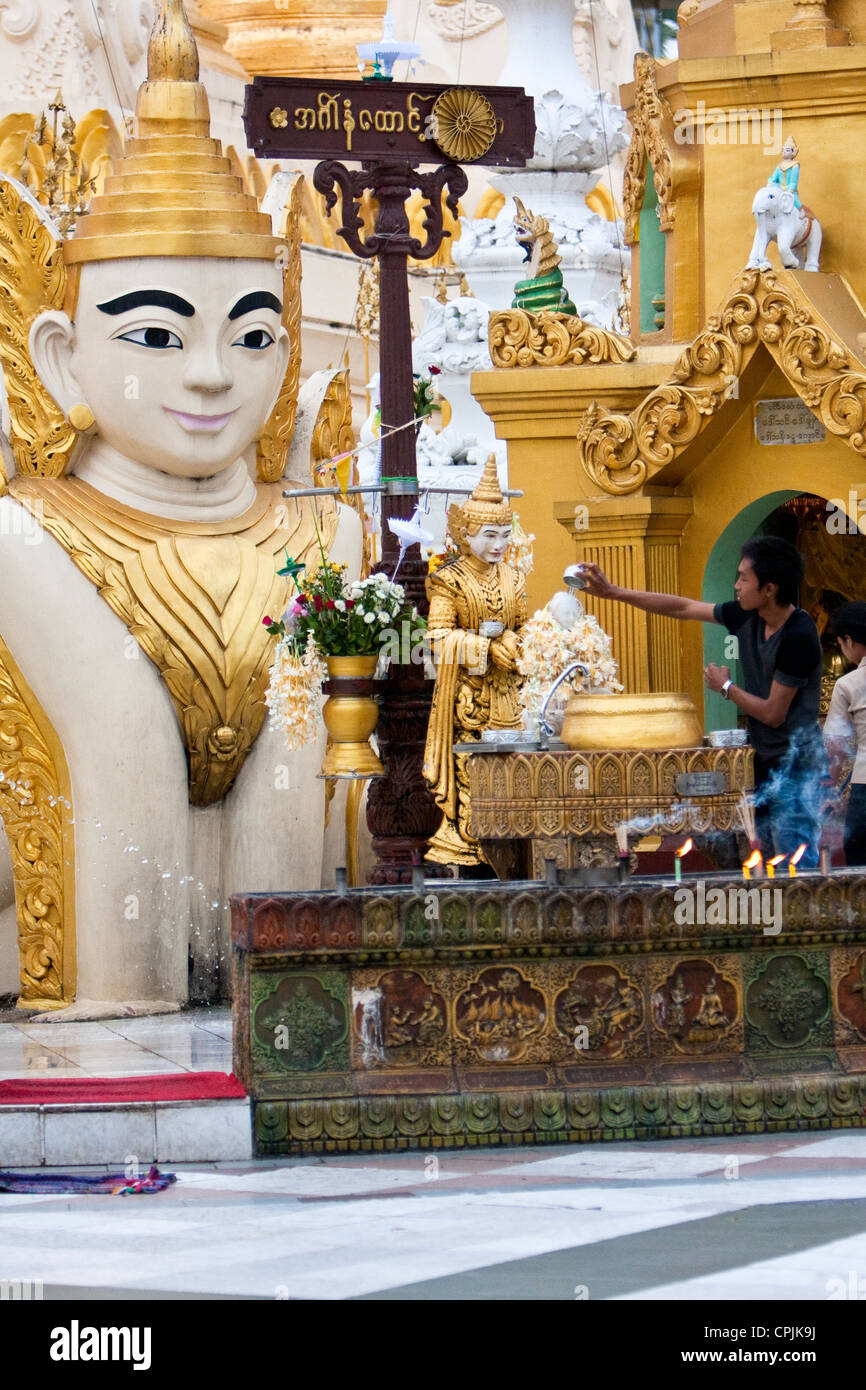 Le Myanmar, Birmanie. La pagode Shwedagon, Yangon, Rangoon. Adorateurs de verser de l'eau, un signe de purification, plus de petits Bouddhas. Banque D'Images