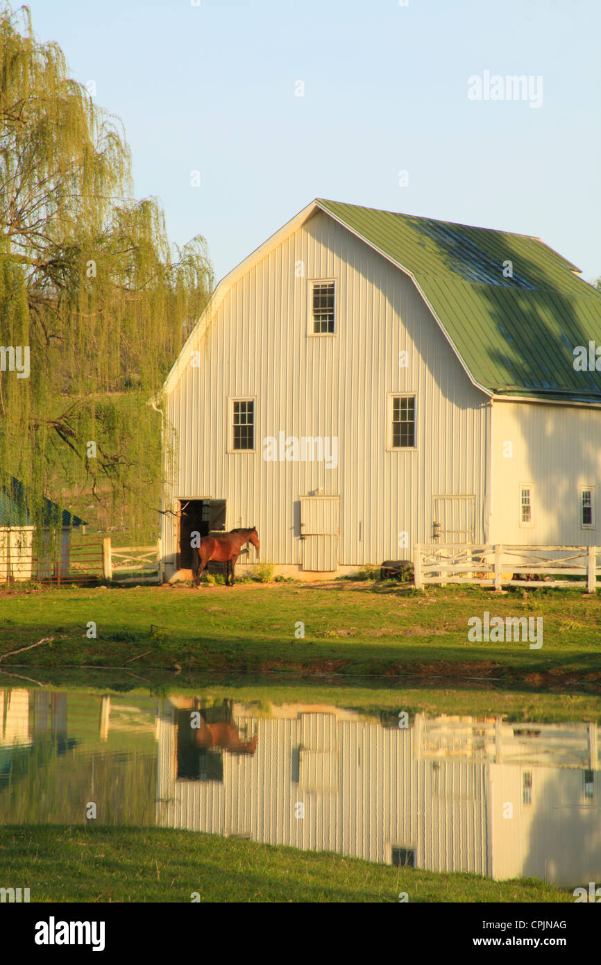 L'réchauffement dans le Lever du Soleil Soleil sur ferme près de Middlebrook dans la vallée de Shenandoah, en Virginie, USA Banque D'Images