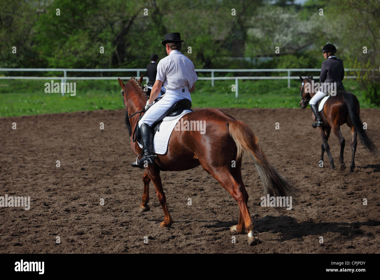 Le Dressage. Sport équestre Banque D'Images