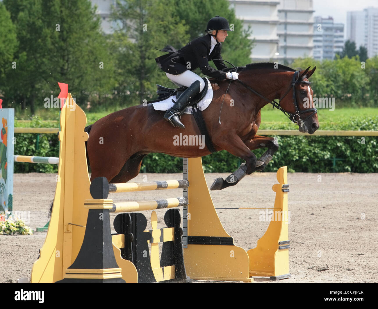 Equestrian horse sports/show-jumping Banque D'Images