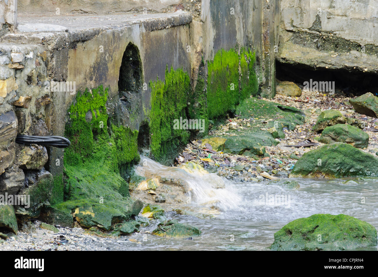 La pollution de l'eau non filtrée s'écoule à partir de couverts d'égout Les algues toxiques en mer pollution Sabang Philippines Banque D'Images