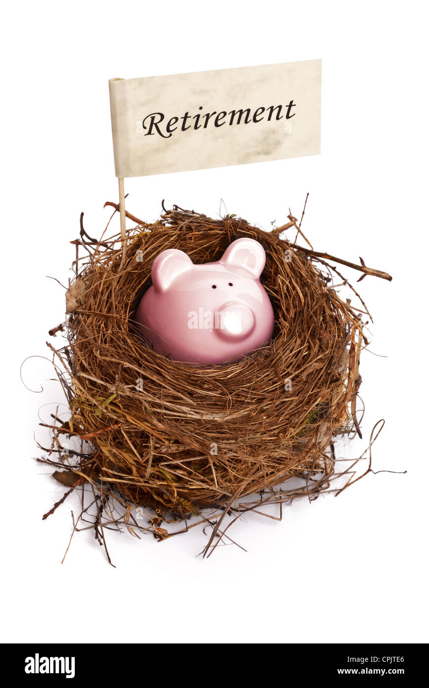 Piggy Bank in bird's nest Banque D'Images