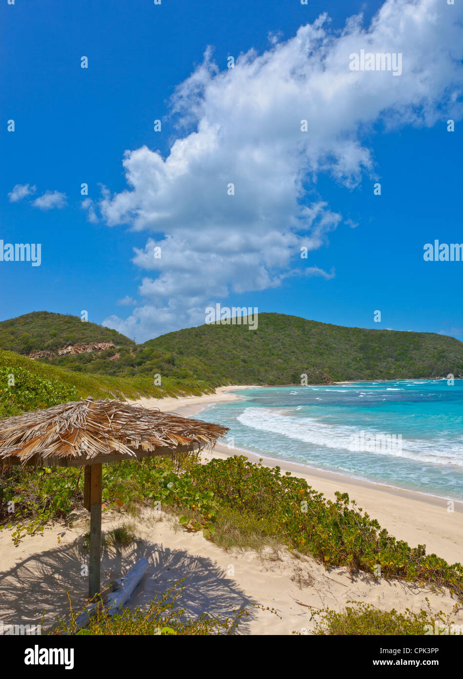 Virgin Gorda, îles Vierges britanniques, les Caraïbes palapa sur la plage de Savannah Bay Banque D'Images