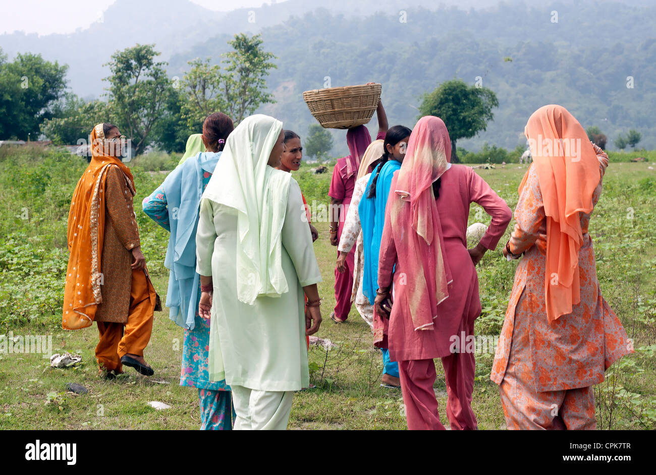 Les femmes du village indien, traditionnellement,paysage,Agriculture,Environnement,ferme,terrain,Plantation,vert,la culture orientale traditionnelle. Banque D'Images