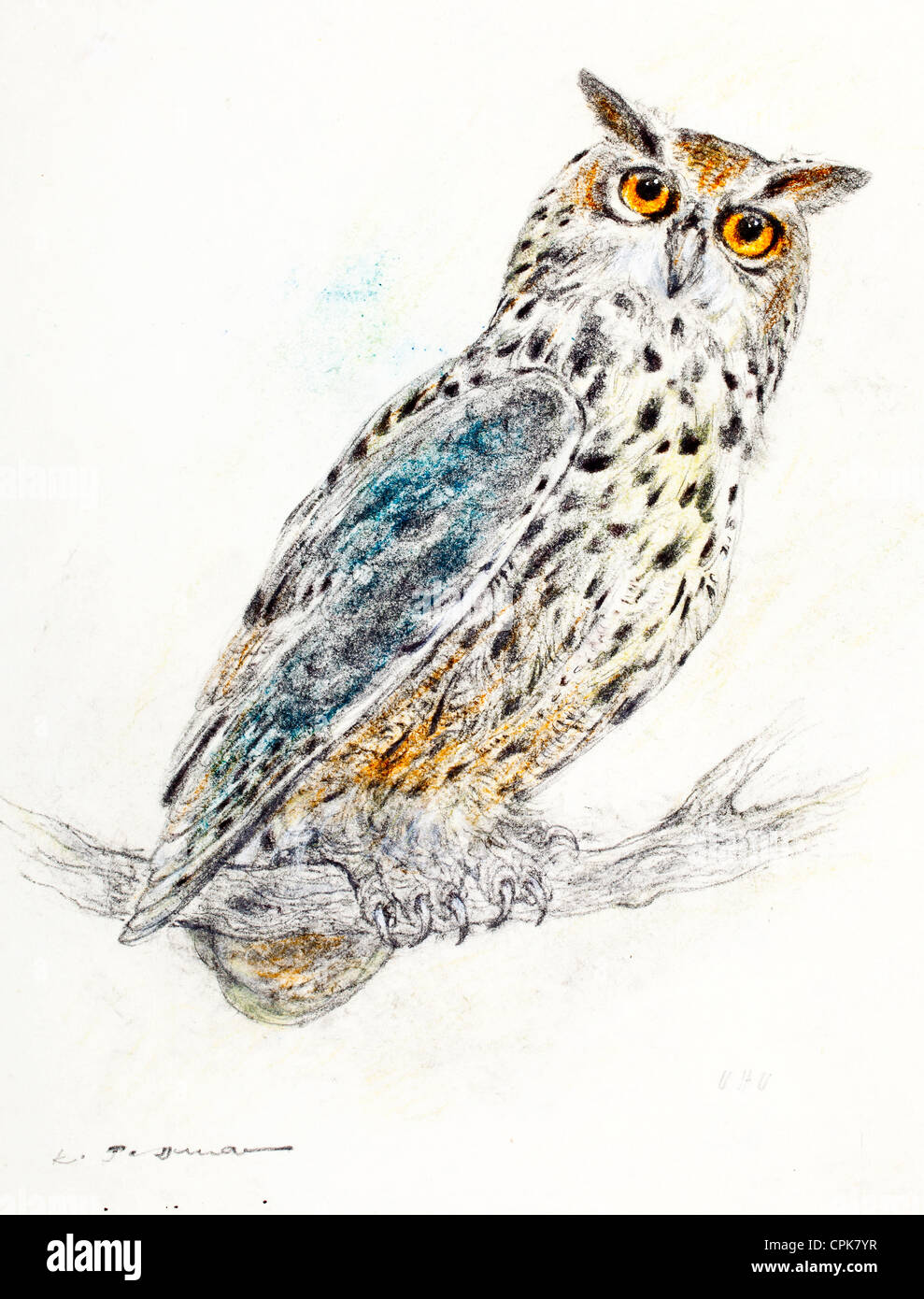 Eagle owl (Bubo bubo) - craie pastel sur papier par Kurt Tessmann Banque D'Images