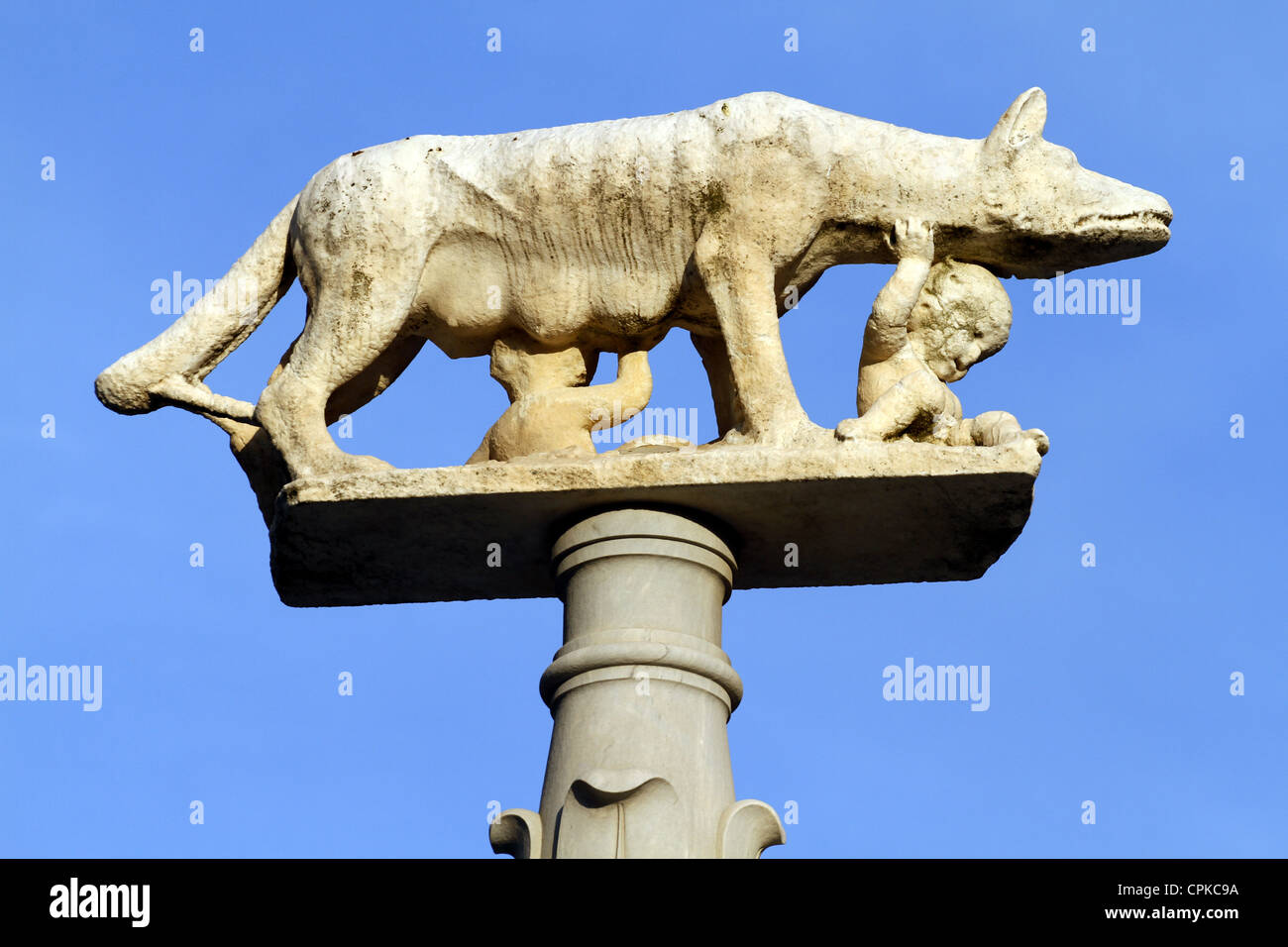 STATUE DE LA LOUVE AVEC Romulus et Remus CATHÉDRALE Sienne Toscane Italie 10 Mai 2012 Banque D'Images