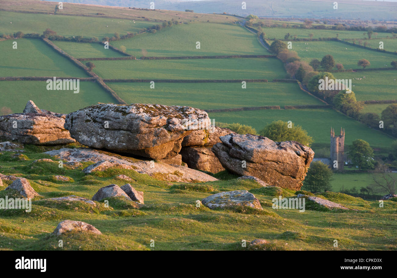 Moutons tor, Dartmoor National Park, Devon, Angleterre. Banque D'Images
