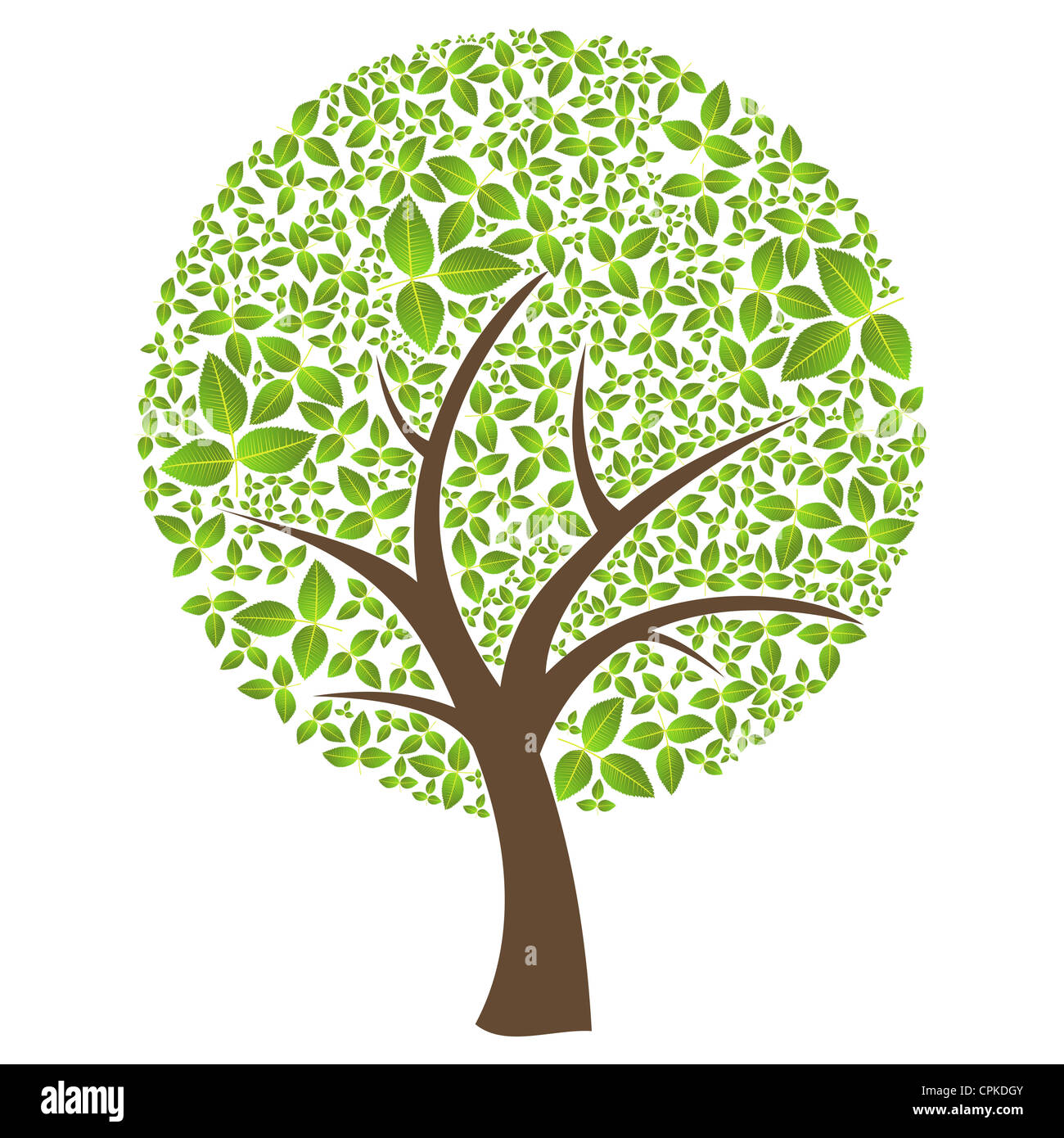 Résumé isolés printemps au moment de la composition de l'arbre avec des feuilles. Couches de fichier vectoriel pour une manipulation facile et coloris. Banque D'Images