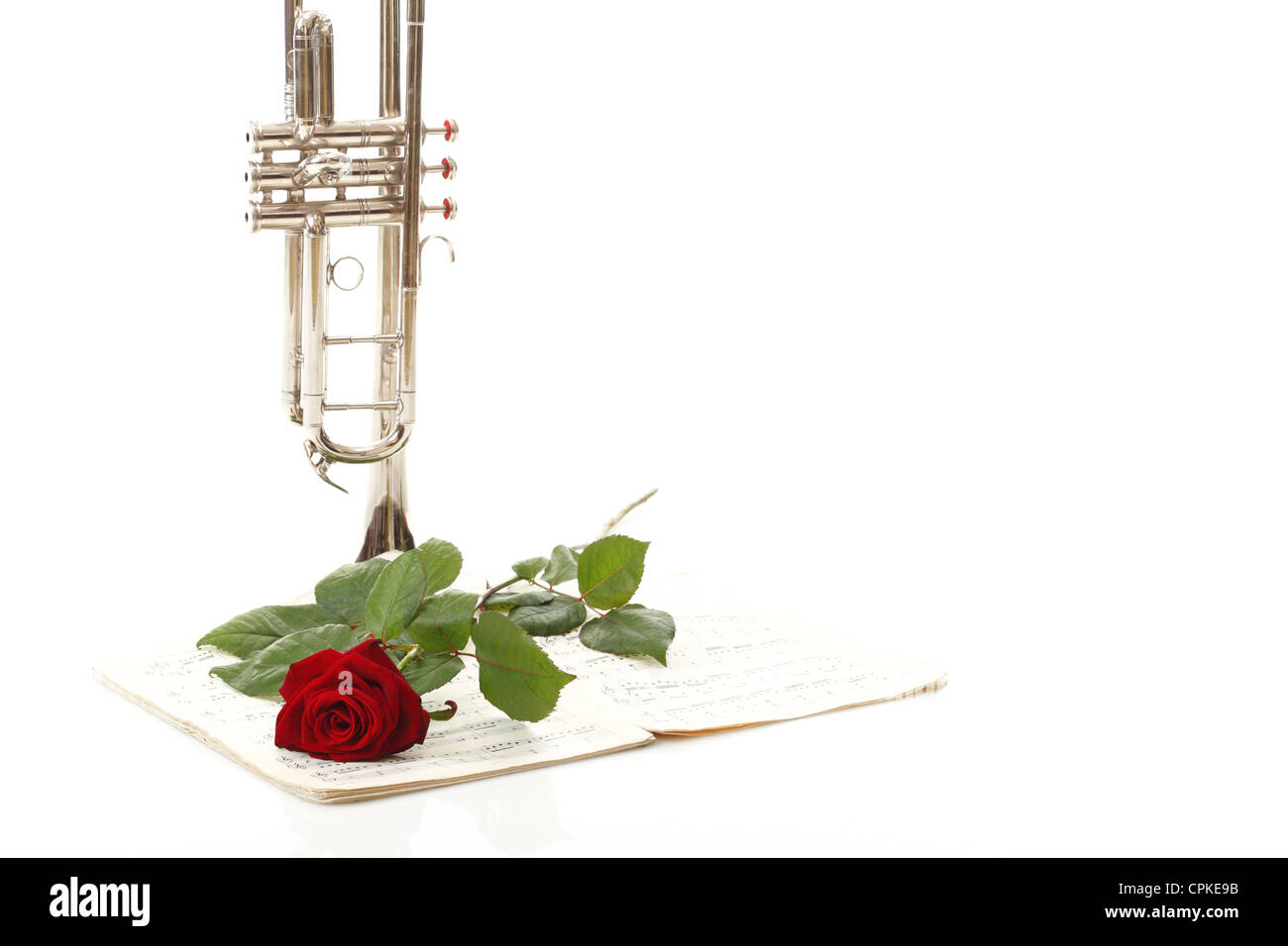 Rose rouge et vieux note notes trompette aime la musique fond blanc Banque D'Images