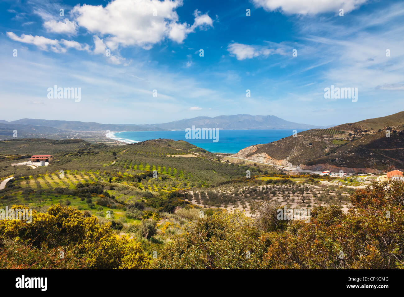 Champs d'oliviers à proximité du coût en Crète Méditerranée Banque D'Images