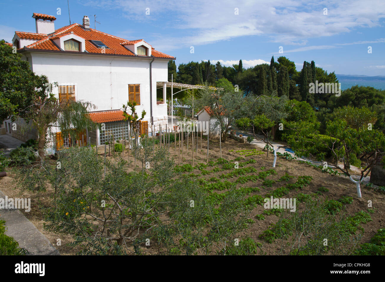 Jardin de ville privée sur la péninsule de Marjan Split Croatie côte Dalmate Europe Banque D'Images